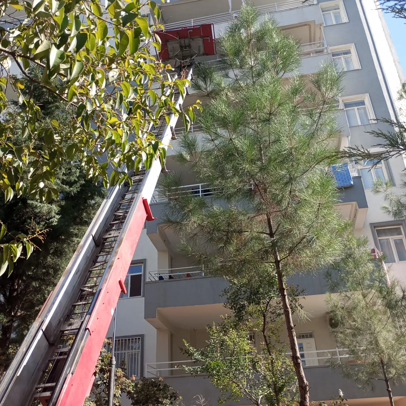 Diyarbakır Şehir İçi Nakliyat